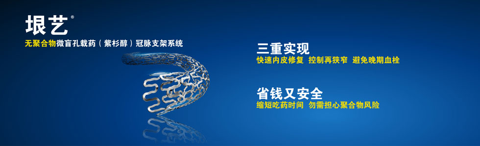 垠艺®无聚合物微盲孔载药冠脉支架系统(图1)