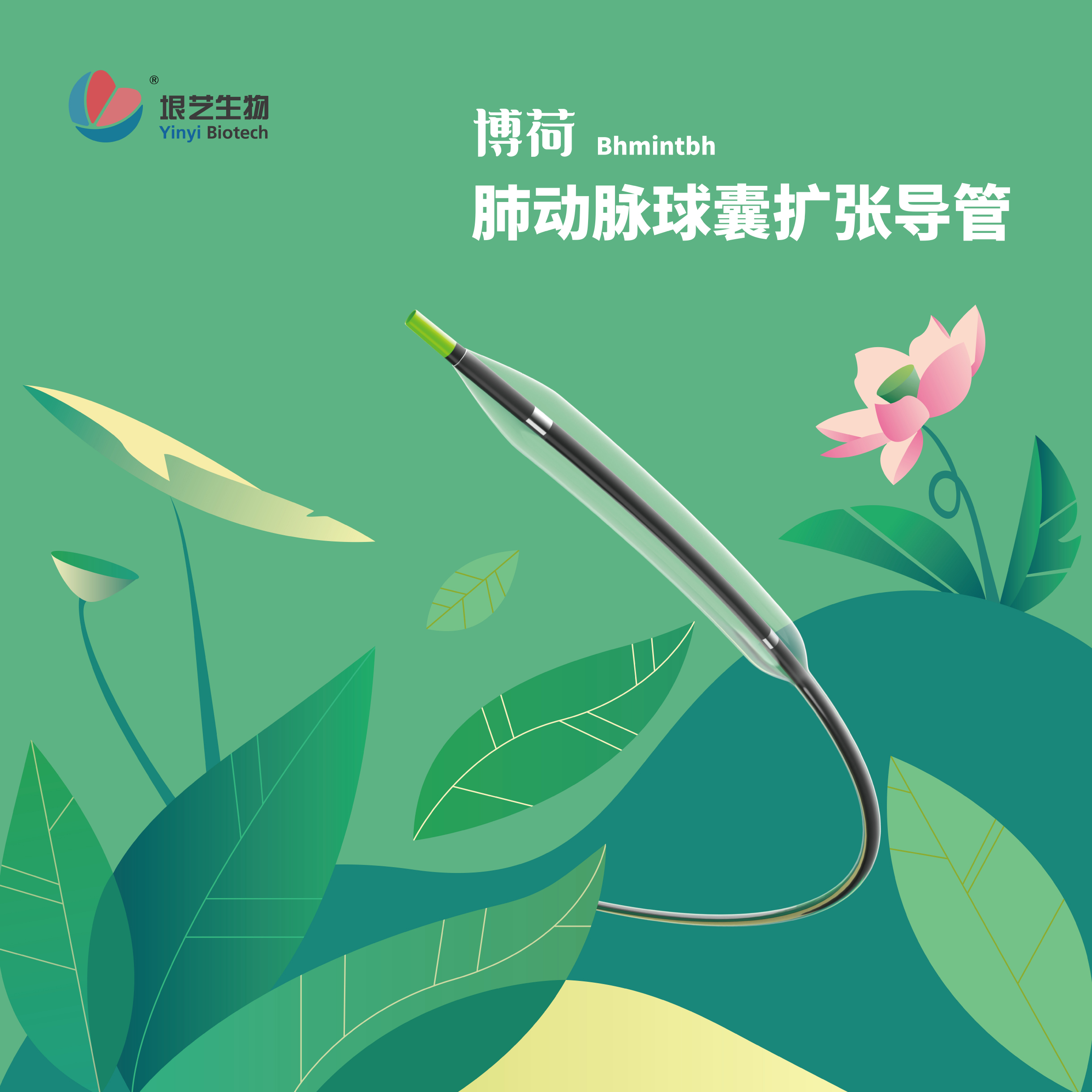 获批动态|垠艺生物两款肺动脉球囊扩张导管于香港获批(图2) 获批动态|垠艺生物两款肺动脉球囊扩张导管于香港获批(图2)